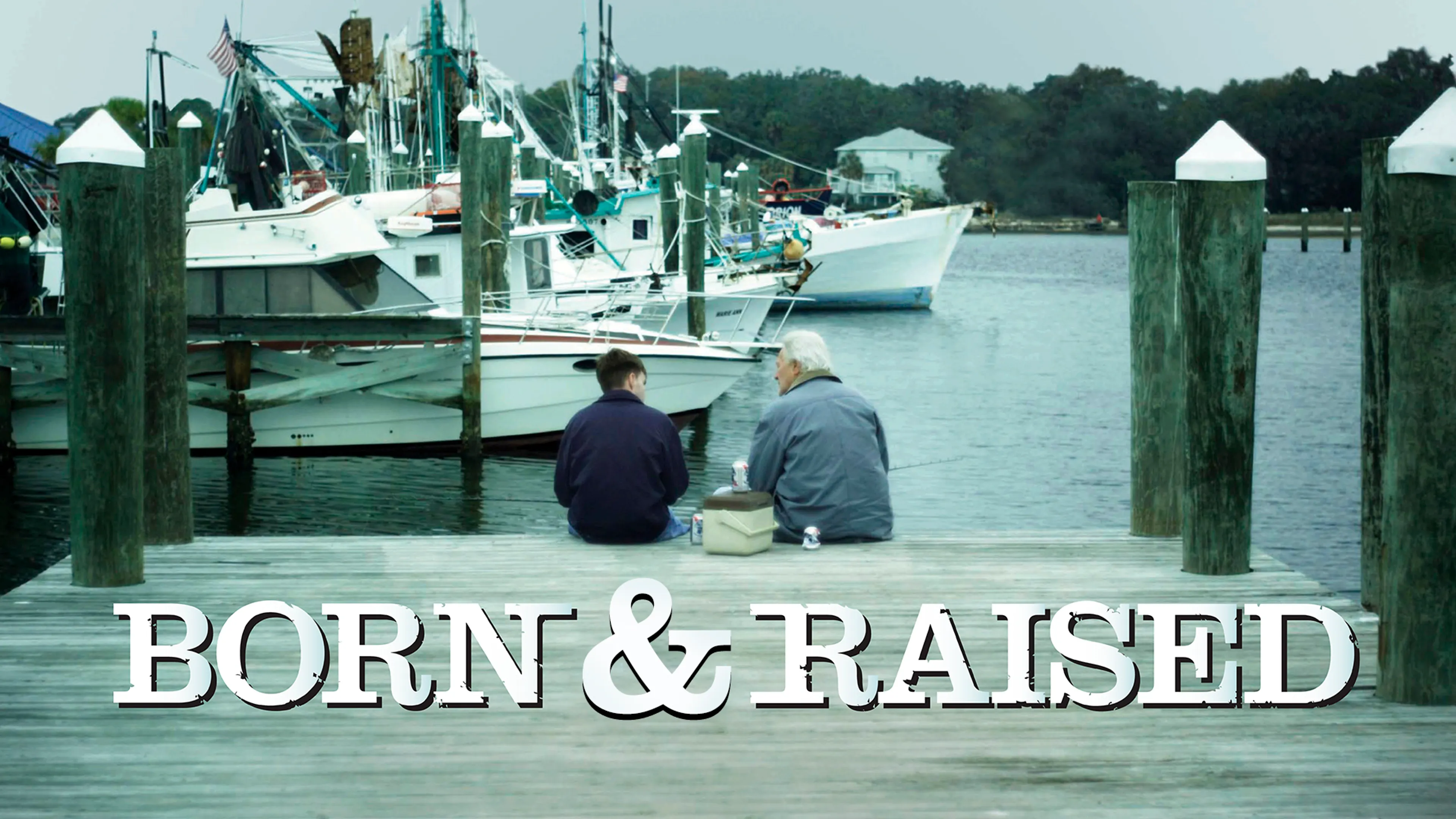 Born & Raised poster